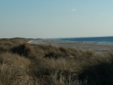 duen-Strand (7)